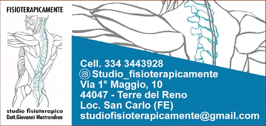 Studio Fisioterapicamente